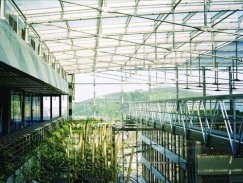 CSR: móda nebo nezbytnost?