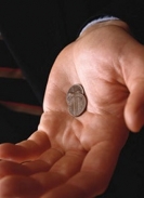 On the new Insolvency Act