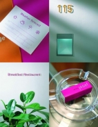 Michal Richtr: Logo also sells a project