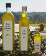 Realitní září: spiknutí katolíků a developerský olej superrieur kvality