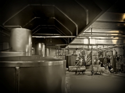 Vzestup ekonomiky přeje hlavně „industriálu“