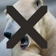 Realitní červen: Lednímu medvědovi nepomohly ani studené fronty