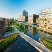 Brno v realitní euforii